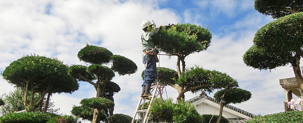 志布志市シルバー人材センター