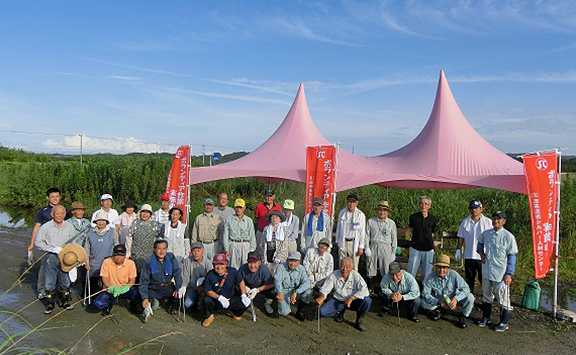 清掃ボランティア活動 | 志布志市シルバー人材センター